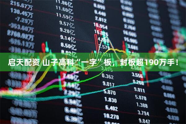 启天配资 山子高科“一字”板，封板超190万手！