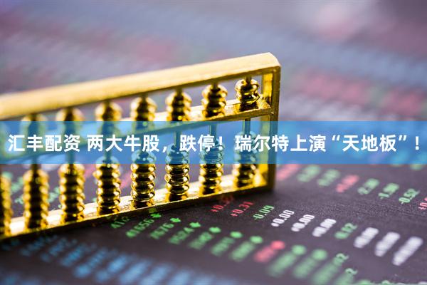 汇丰配资 两大牛股，跌停！瑞尔特上演“天地板”！