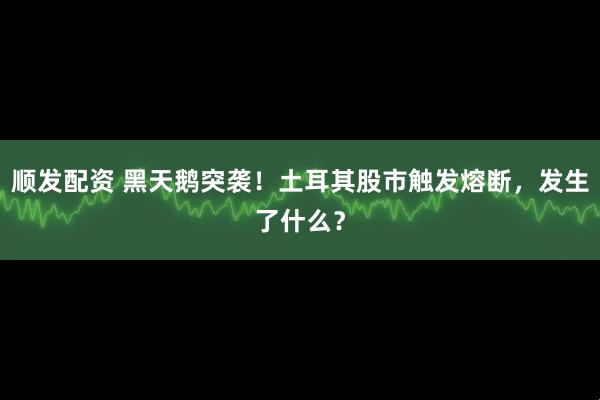 顺发配资 黑天鹅突袭！土耳其股市触发熔断，发生了什么？