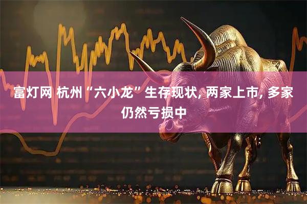 富灯网 杭州“六小龙”生存现状, 两家上市, 多家仍然亏损中