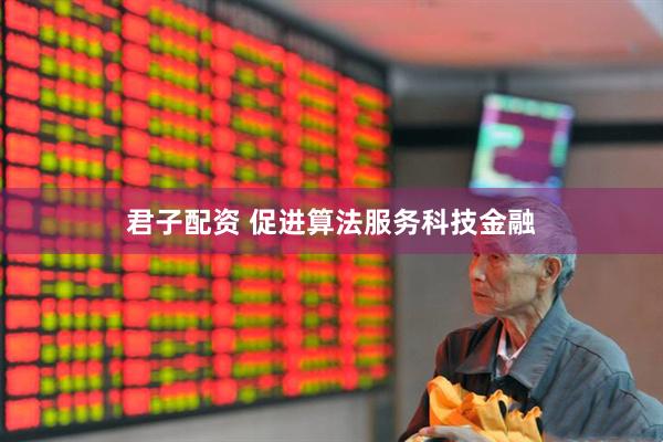 君子配资 促进算法服务科技金融