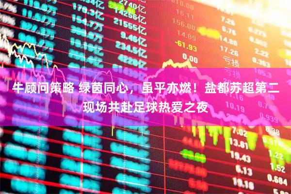 牛顾问策略 绿茵同心，虽平亦燃！盐都苏超第二现场共赴足球热爱之夜